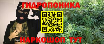 стафф Кулебаки