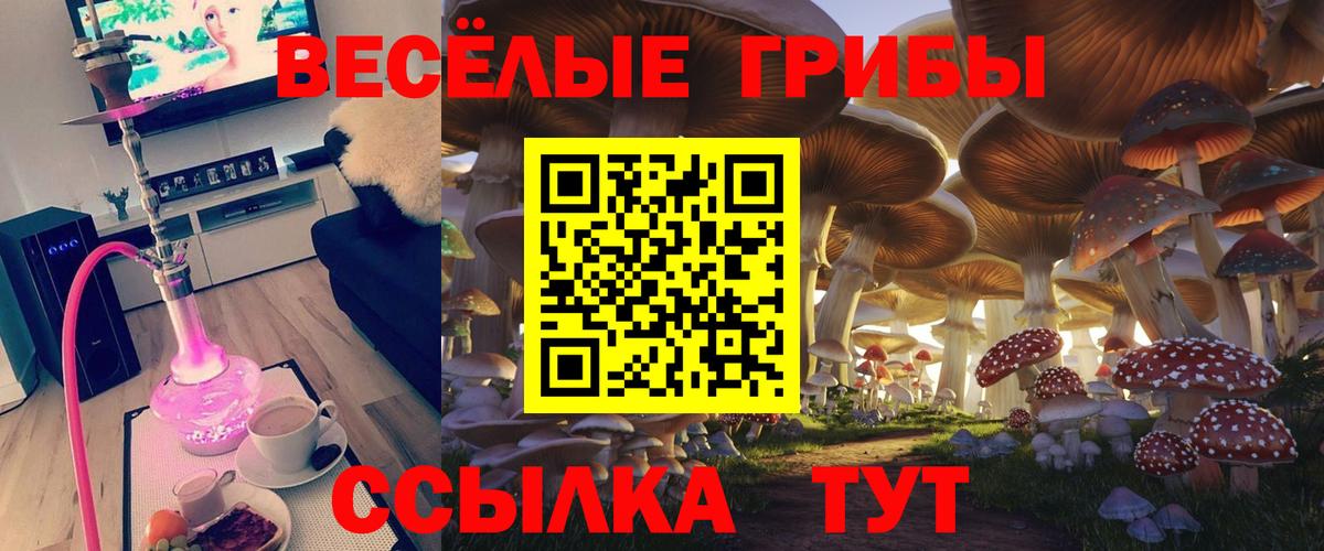 Галлюциногенные грибы прущие грибы  Вход с VPN  Гуково  Псилоцибиновые грибы MAGIC MUSHROOMS 