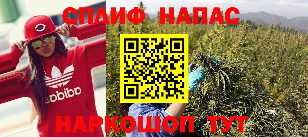 Бошки Шишки SATIVA & INDICA  Конопля планчик  Гуково  Вход с VPN  Канабис MAZAR 